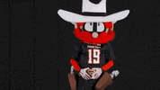TexasTechRedRaiders texas tech red raiders raider red GIF