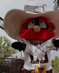 seeingscarlet texas tech red raiders raider red wreck em GIF