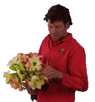WFLeenen decorum narcis tuinder bollenstreek Sticker