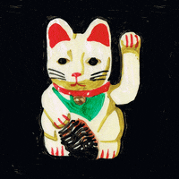 AsukaGruen cat japan japanese toy GIF