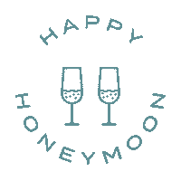 Champagne Honeymoon Sticker by KM Travel Designs