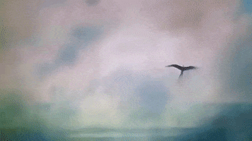 GIF by tomcjbrown