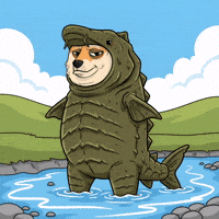 Wading Shiba Inu GIF by Doge Pound