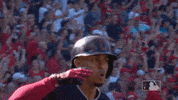 salutes GIF by MLB