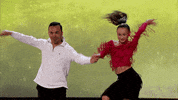 fox dancing GIF by So You Think You Can Dance