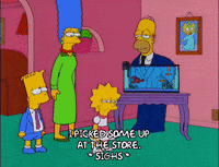 homer simpson GIF