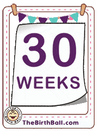 Ultrasound Expecting Sticker by The Birth Ball