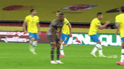 Selecao Richarlison GIF by Confederação Brasileira de Futebol