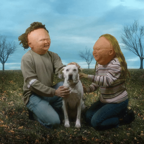 DOG PETTING