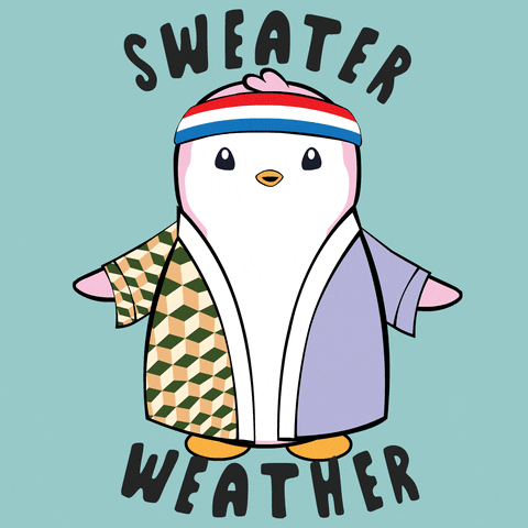 Freezing Sweater Weather GIF by Pudgy Penguins
