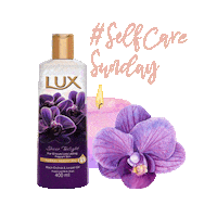 lux_southafrica beauty motivation sunday selfcare Sticker