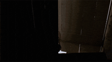 Daryl Dixon Hello GIF by The Walking Dead
