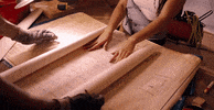 fifth harmony work from home GIF by Fifth Harmony