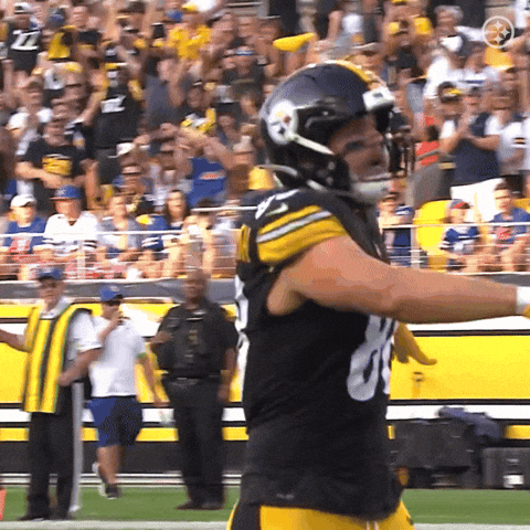 National Football League Win GIF by Pittsburgh Steelers