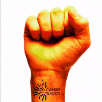 Camiseteados marketing social chile camiseta GIF