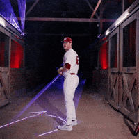 Home Run Celebration GIF by Gamecock Athletics