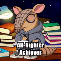 Late Night Study GIF by Chillo Dillo
