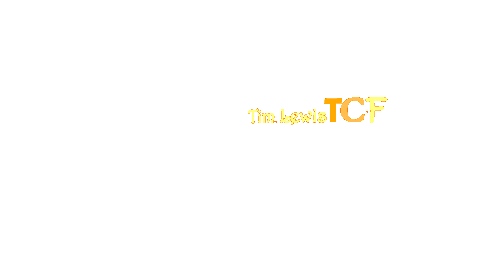 Timlewistcf Sticker by Stoneham Press