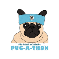 pugrescueaustin pug pugs pugathon pugrescueofaustin Sticker