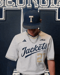 Georgia Tech Baseball GIF by Georgia Tech Yellow Jackets