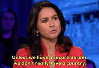 Tulsi Gabbard Immigration GIF by Election 2020