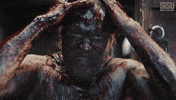 Sisu Looking Crazy GIF by Sony Pictures