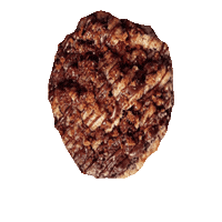 CookieCult cookie cult cookie aberdeen cookiecultuk cookiecult Sticker