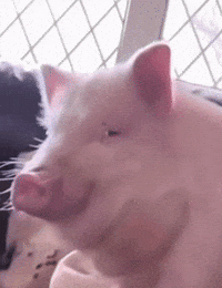 Hungry Monster GIF