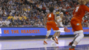 gamecocks secwbb GIF by gamecocksonline