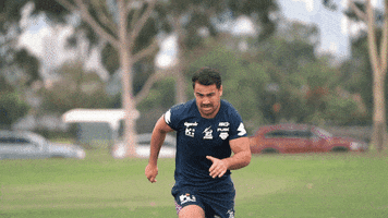 MelbourneStormRLC storm nrl melbourne storm msrlc GIF