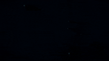Water Swimming GIF by Giant Squid