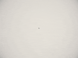 multiply born to die GIF by Nico Roxe