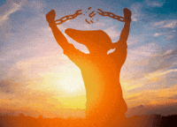 Instagram Freedom GIF