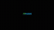 UniversidadeEstadualMS uems uemsnavirai GIF