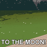 To The Moon Rocket GIF by Ponke