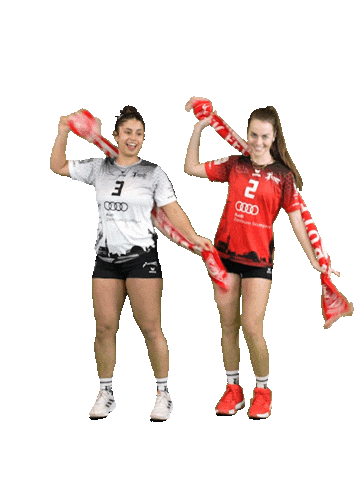 Volleyball Svf Sticker by Rotes Rudel