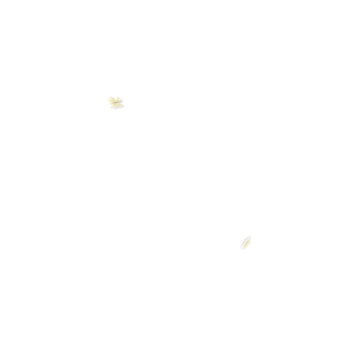 Food Beer Sticker by DeliciosaChile