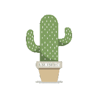 FACIALCOMPANY beauty cactus facial planta Sticker