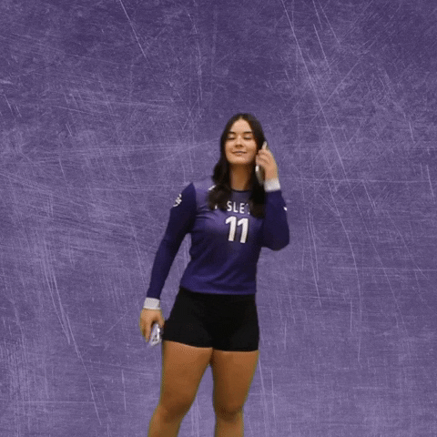 Volleyball Wesleyan GIF by KWC Panthers