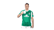 Niklas Moisander Bundesliga Sticker by SV Werder Bremen