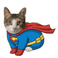 Cat Nu Sticker