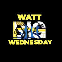 HWUSPORTSUNION watt wbw oriam heriot-watt GIF