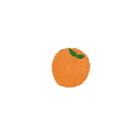 emmakatja illustration orange fruit fruite Sticker