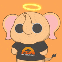 untamedelephants dance cute cool animals GIF