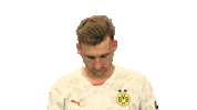 Look Up Borussia Dortmund Sticker by Bundesliga