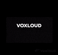 Phone Centralino GIF by Voxloud