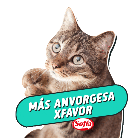 Sofia Por Favor Sticker by sofiabolivia