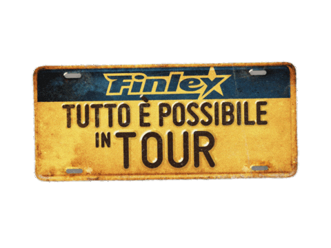 Finley Sticker by Newco mgmt