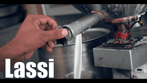 cityonpedals giphyupload india punjab street food GIF