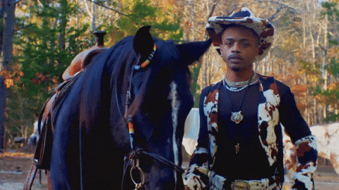 Horse Country GIF by Damez